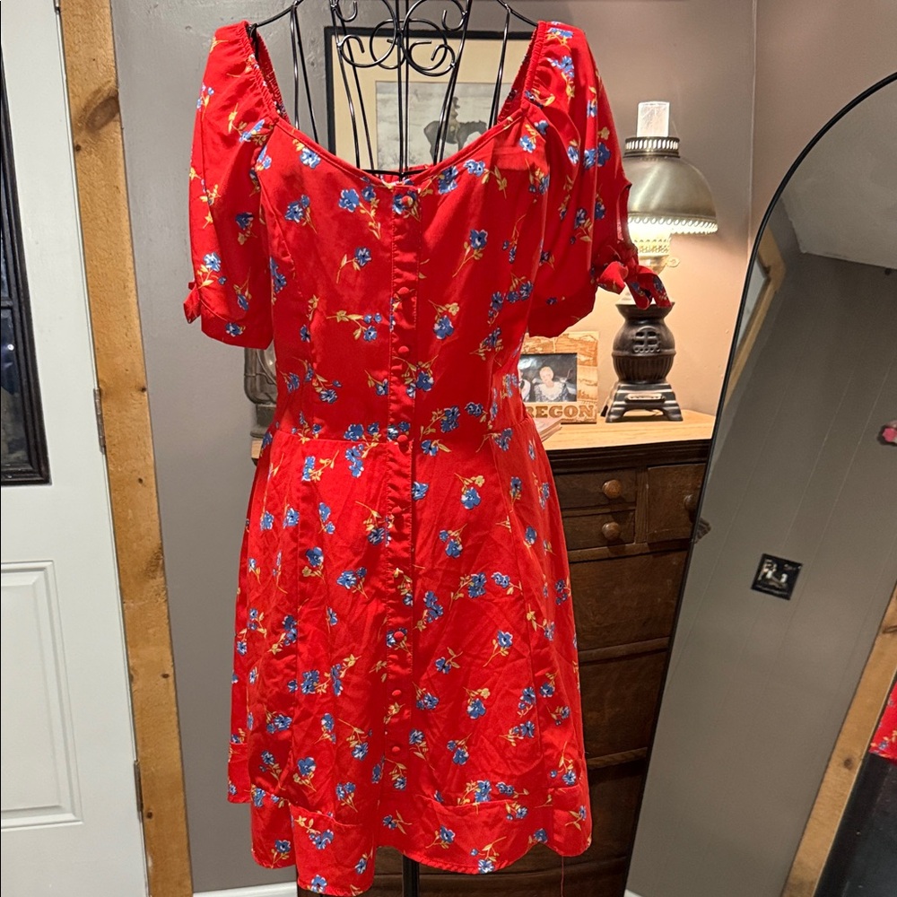 Sienna Sky Red and Blue Floral Mini Dress